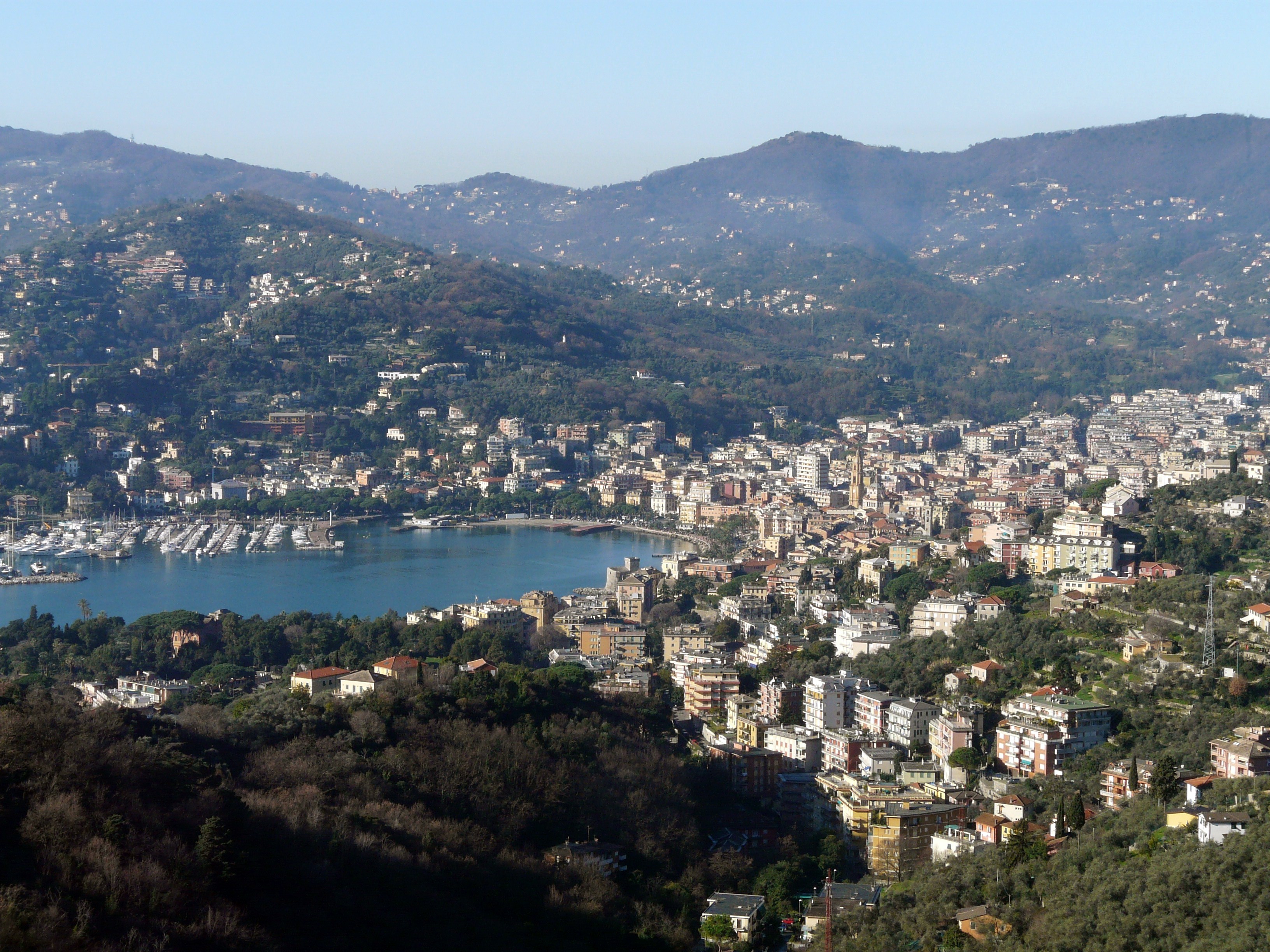 Terremoto in centro Italia, Ascom Rapallo organizza una raccolta fondi