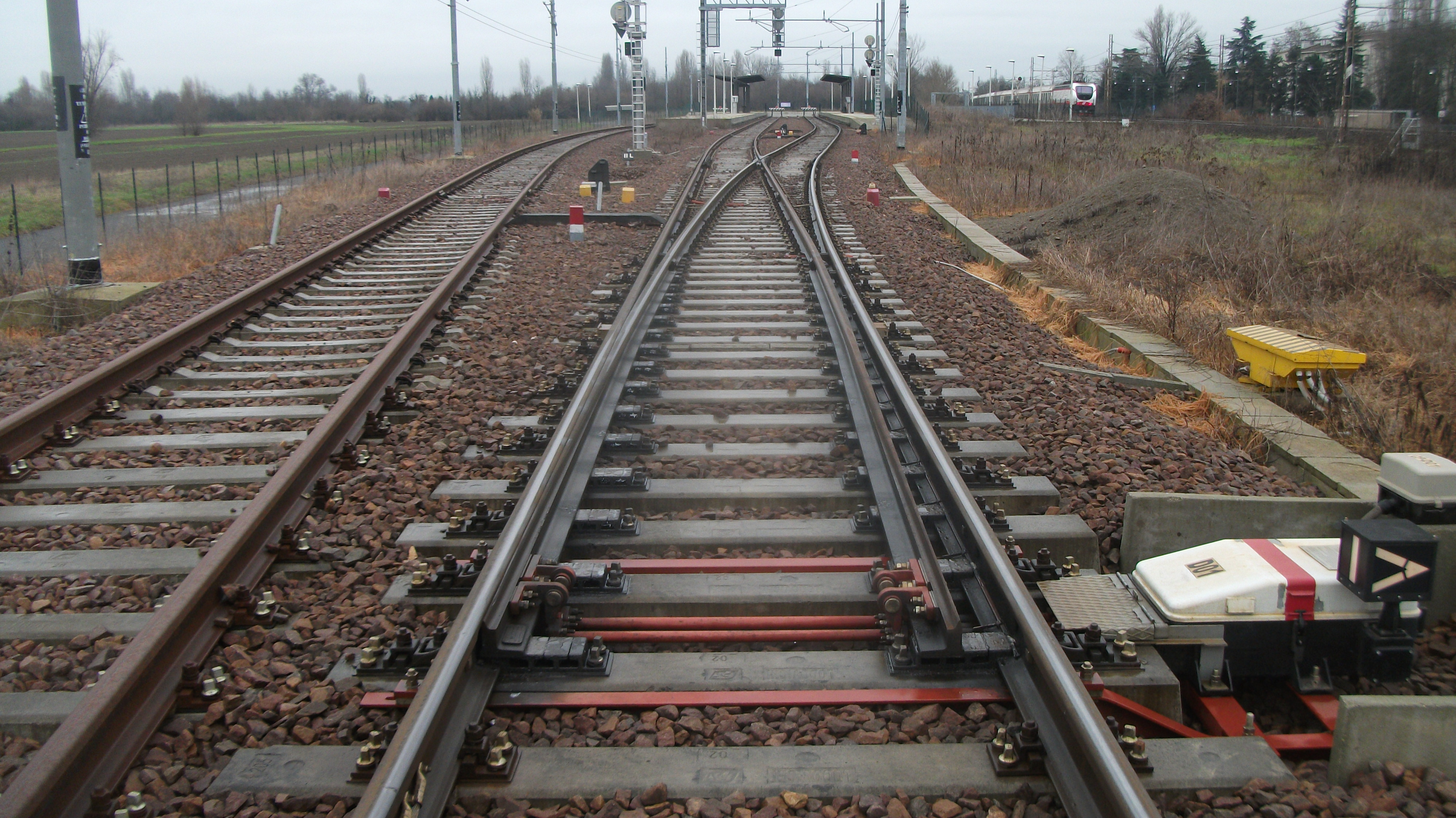 Albero sulla linea ferroviaria, traffico bloccato tra Imperia e Diano Marina 