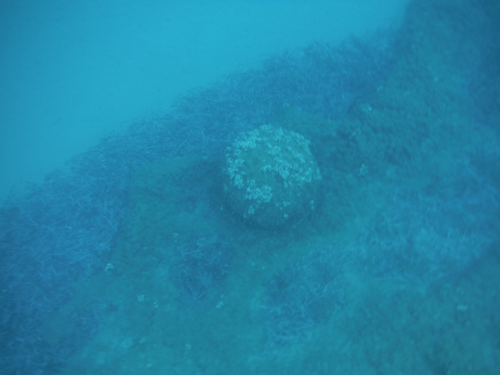 Trovata una mina piena di tritolo sul fondale di Sanremo: esplosa in mare