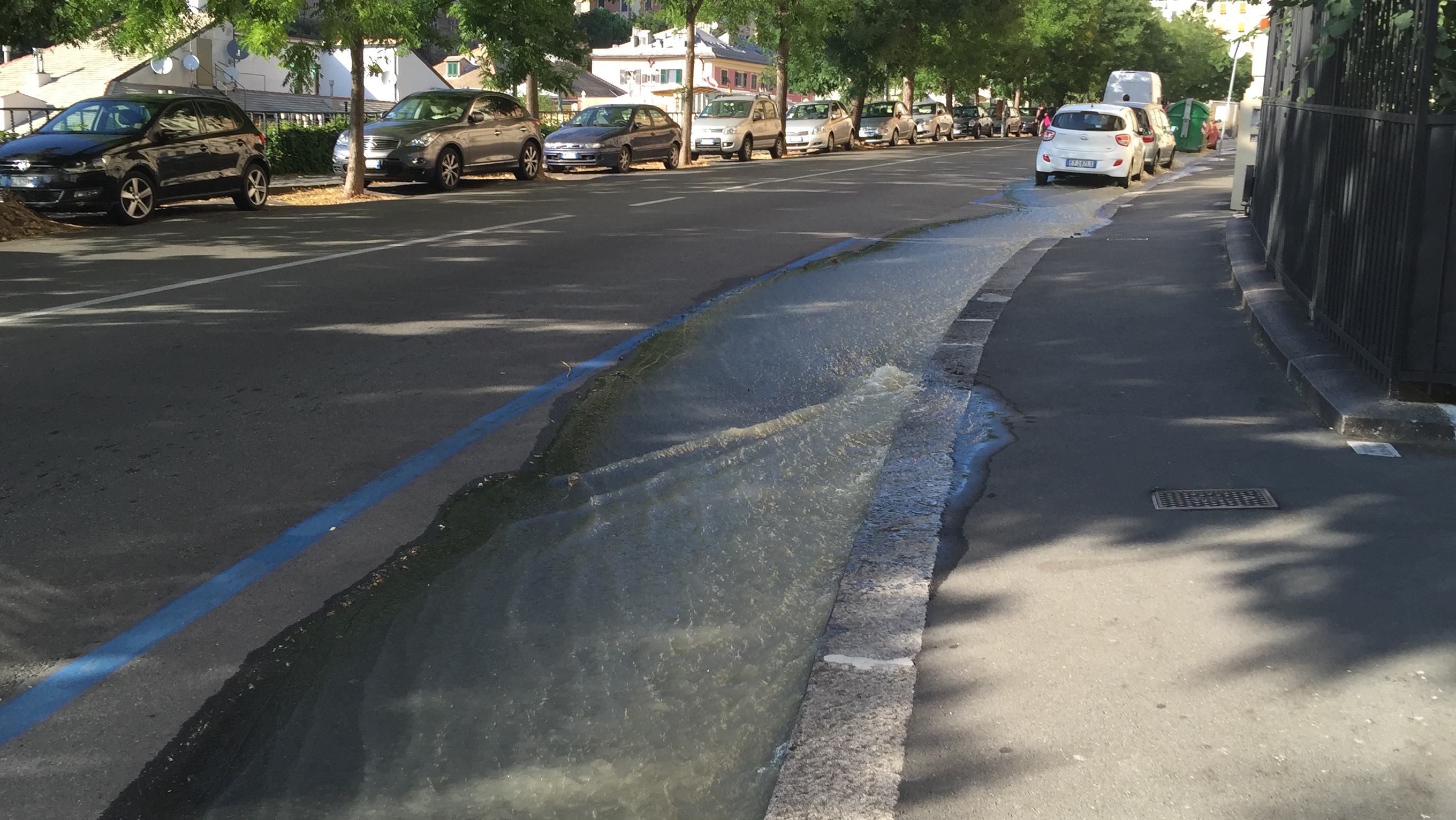 Esplode un tubo dell'acqua a Castelletto, allagamenti e danni in corso Firenze