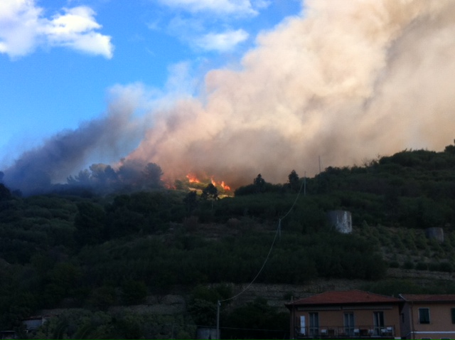 Ennesimo incendio nel Ponente: bruciano i boschi di Ville a Ventimiglia