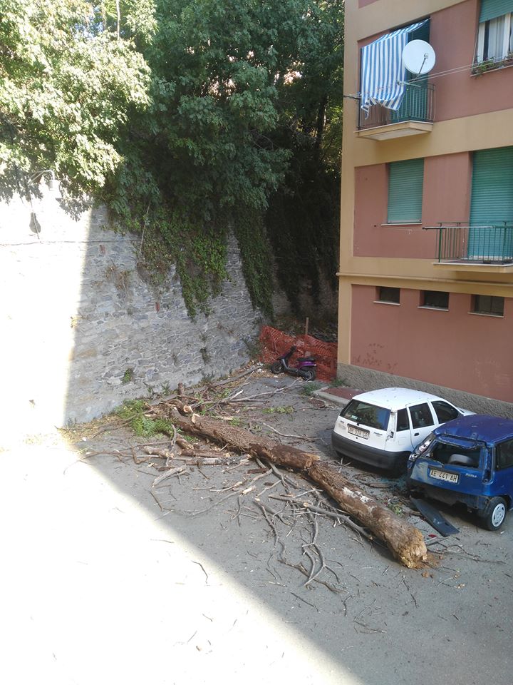 Via Lugo, un tronco cade sul piazzale: sfiorati due bambini e un balcone