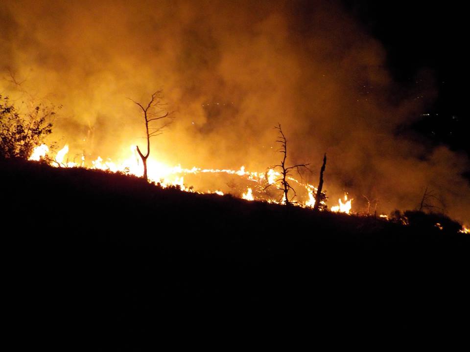 Incendi, fuoco nella notte a Torrazza: ora è caccia al piromane 