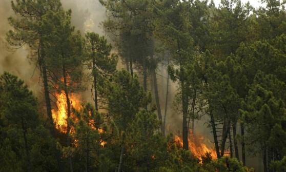 La pioggia non spegne gli incendi: ancora in vigore tutti i divieti