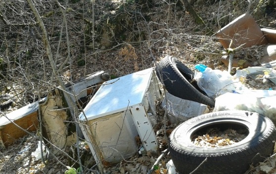 Ragazzi scoprono una discarica abusiva: scatta la bonifica 