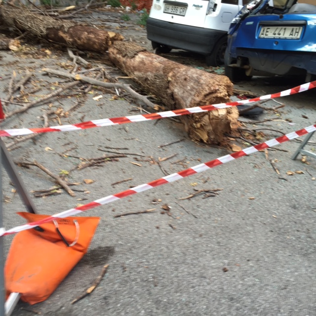 Via Lugo, dopo il crollo del tronco nel piazzale è tutto immobile