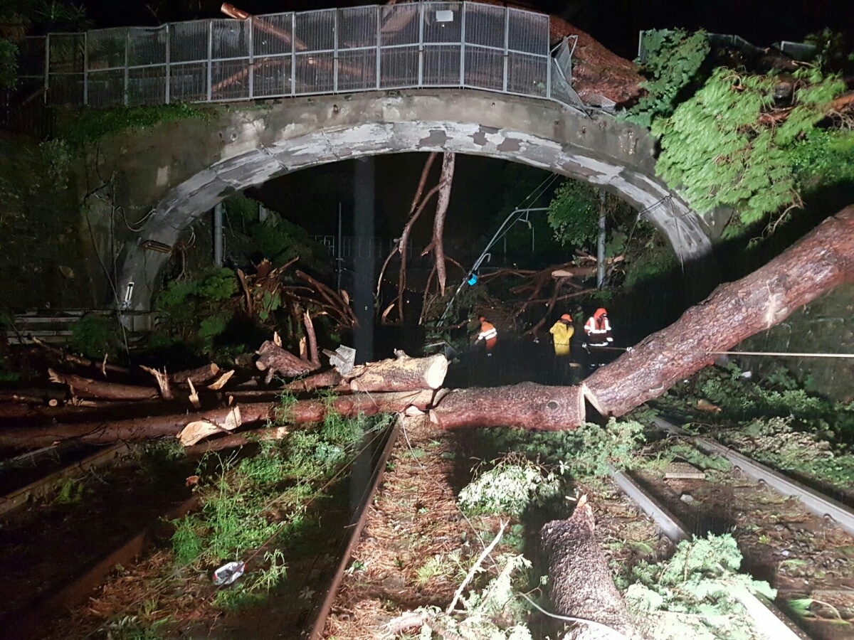 Treni, riavviata la circolazione tra Genova Brignole e Recco