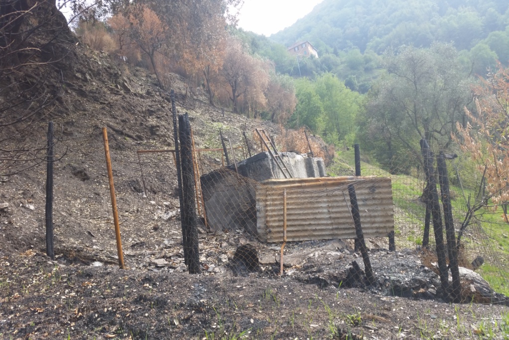 Incendio boschivo a Serra Riccò, trovato il responsabile: multato