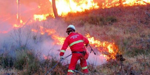 Incendi boschivi, novità in Liguria: meno volontari e pratiche più snelle