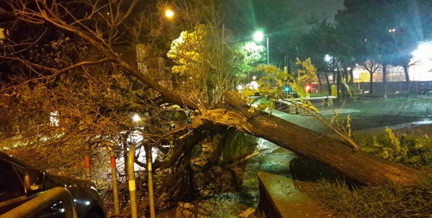 Meteo, allerta gialla fino alle 20 in tutta Liguria. esclusa la zona da Ventimiglia a Capo Noli 