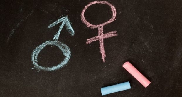 La Regione vara lo sportello 'anti-gender', bagarre in consiglio: 