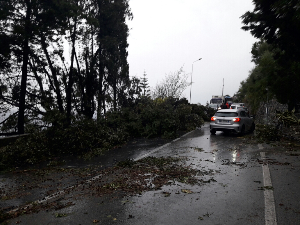 Tromba d'aria a Genova e nel Tigullio, la Regione chiede lo stato d'emergenza