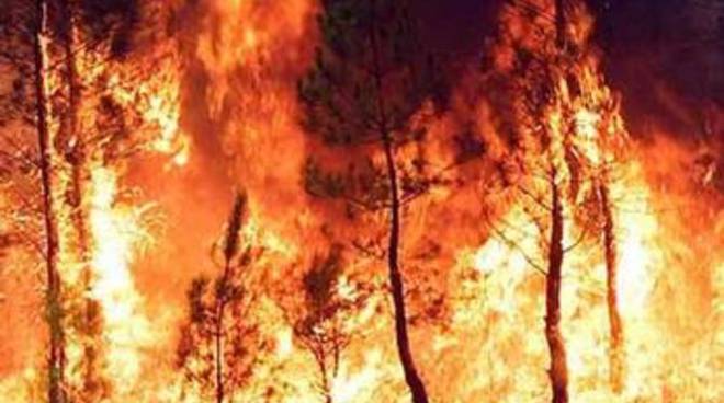 Liguria, Lombardia e Piemonte insieme contro gli incendi boschivi