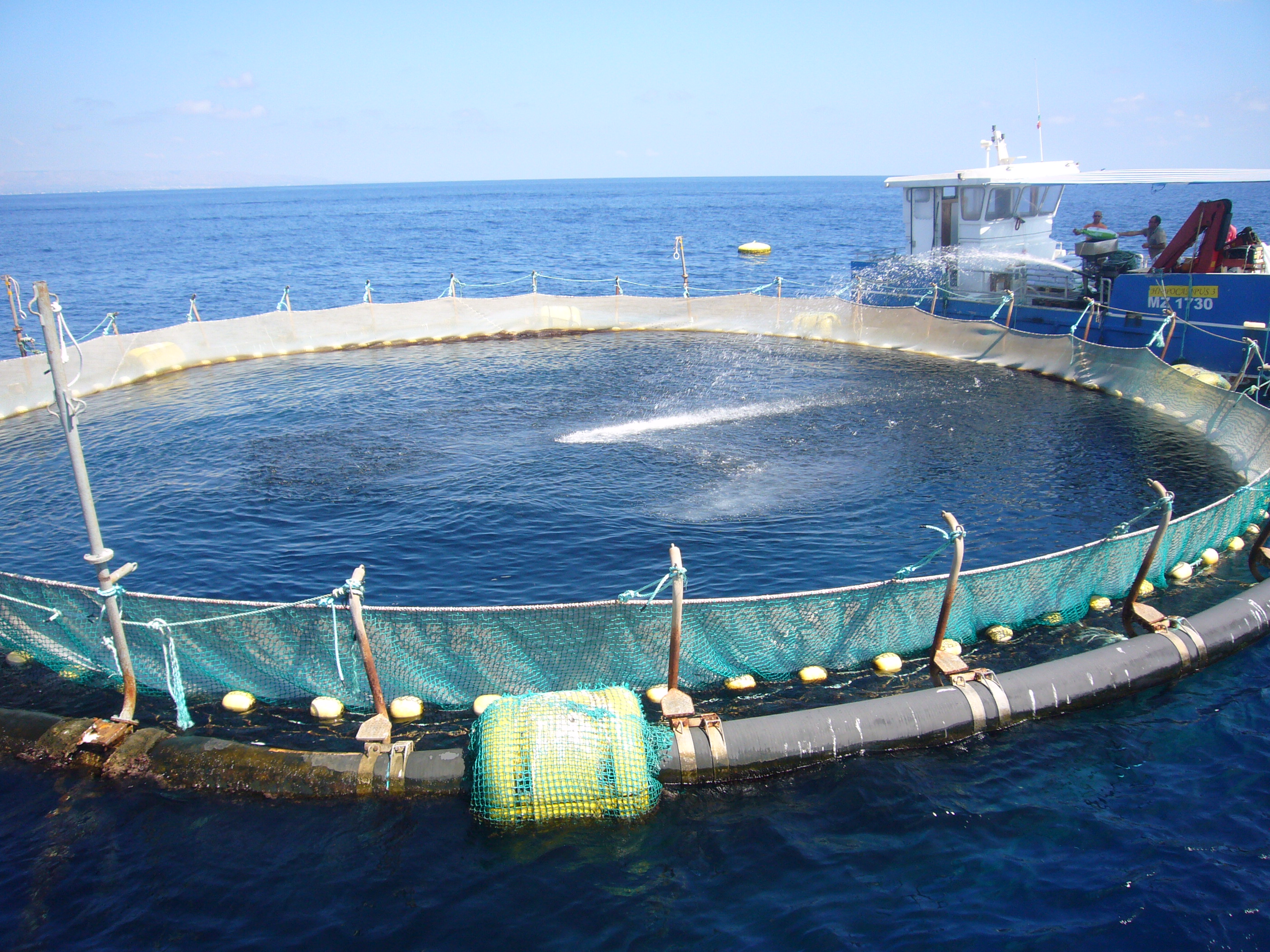 Impianto di acquacultura a Nervi, il Tar: 