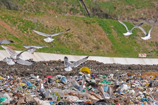 Amiu-Iren: fusione con stangata Tari, i commercianti preparano la rivolta