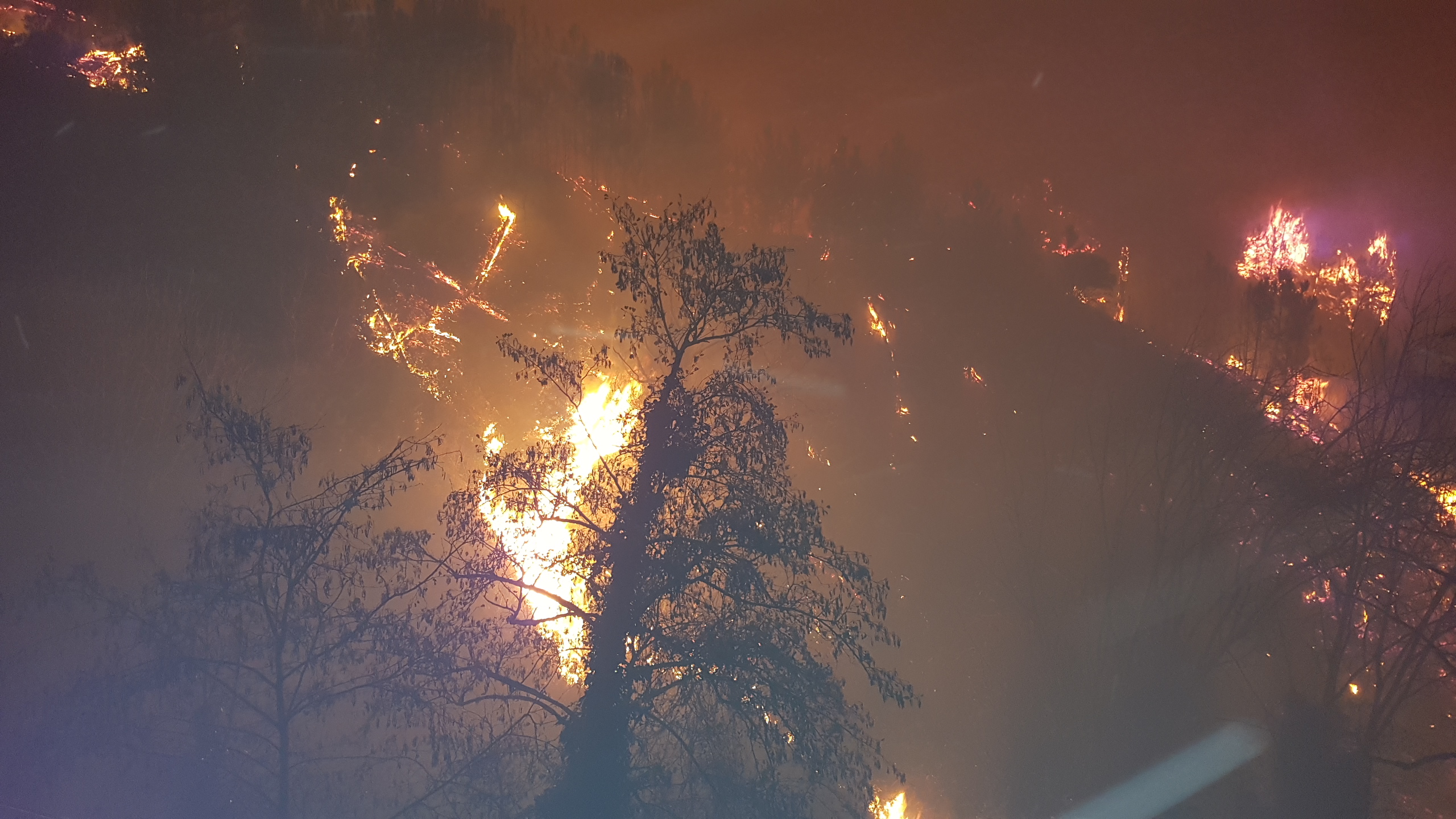 Incendi a Genova: rogo di Nervi colposo, a Pegli doloso