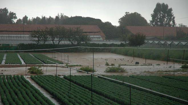 Alluvione 2014, il Governo ai sindaci: 