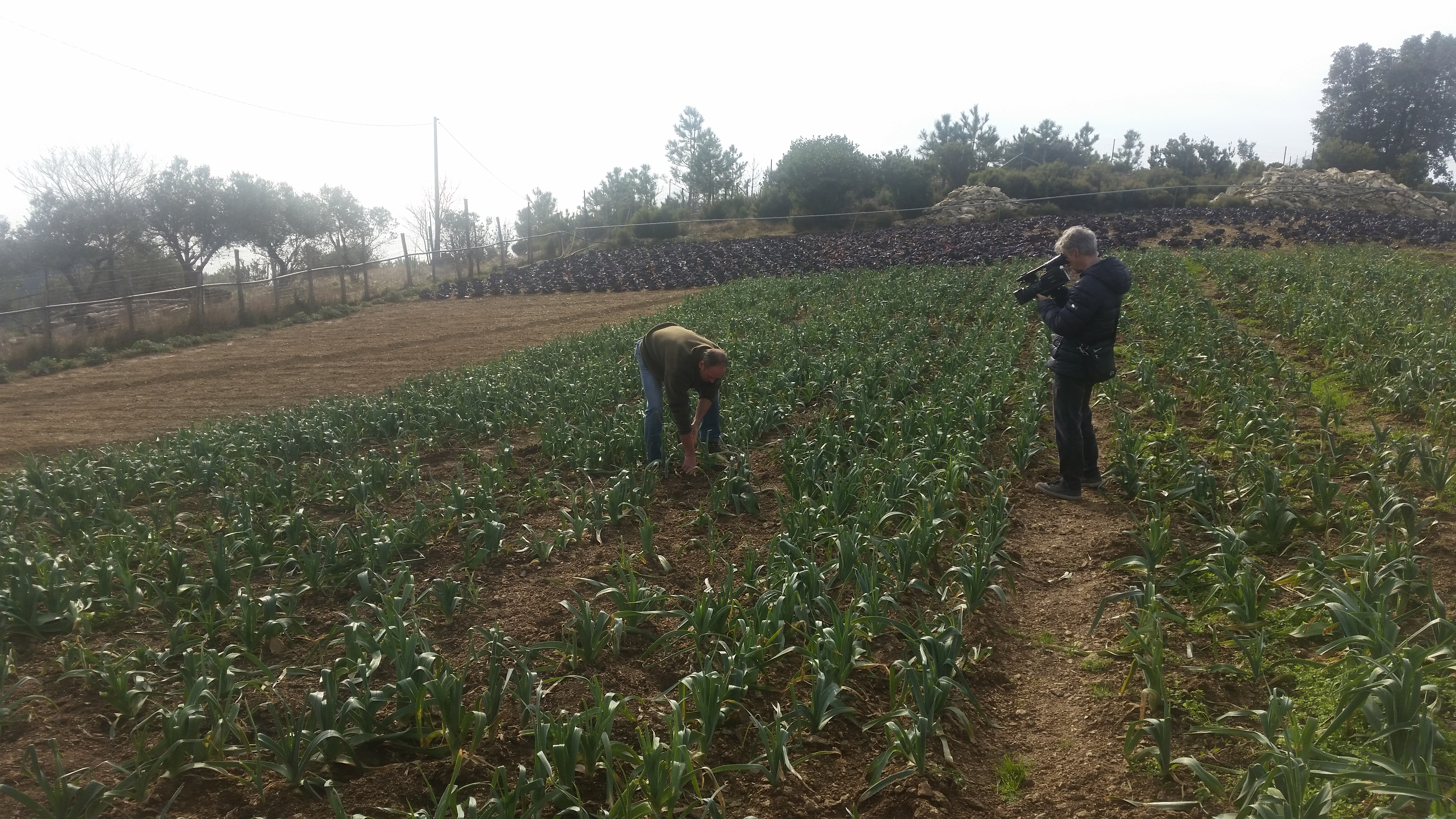 Mercoledì Viaggio in Liguria a Varazze tra agricoltura e buona cucina