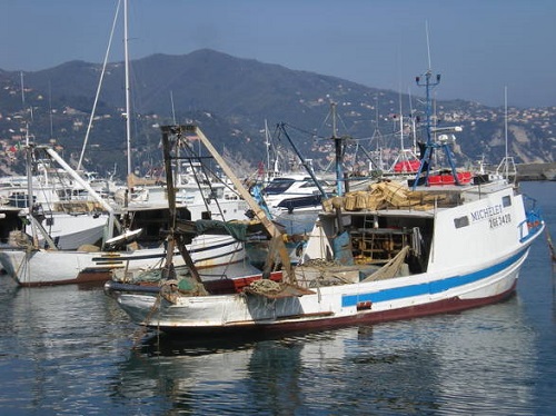 L'assessore Mai al fianco dei pescatori: 