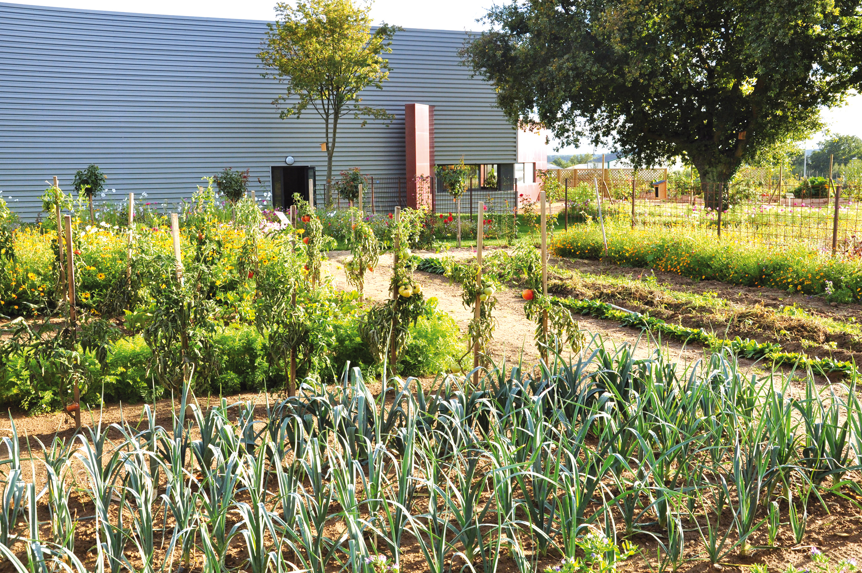 Agricoltura, 166mila euro per la  Liguria dal progetto Flore 3.0