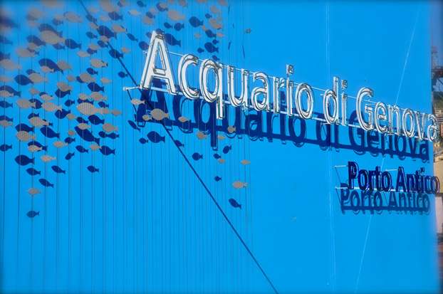 All'Acquario di Genova nuovi spazi per rettili e anfibi