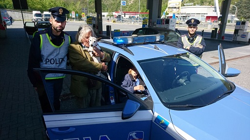 Perdono il cane in autostrada, coppia di turisti tedeschi si sente male