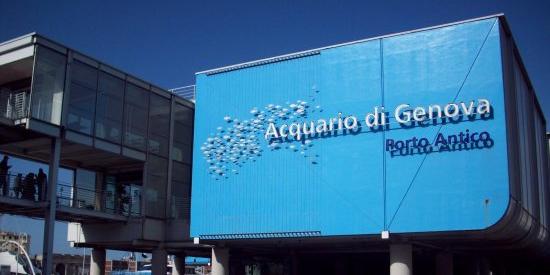 L'Acquario di Genova compie 25 anni, weekend di iniziative ed eventi 