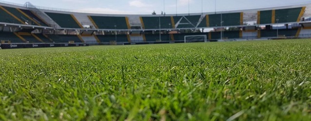 Serie B, play off blindati: per la promozione diretta distacco di 15 punti tra terza e quarta