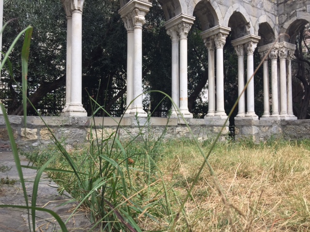 Una selva incolta e la targa coperta dall'edera: le vergogne della casa di Colombo 