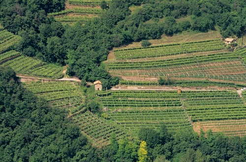 Siccità, la ricerca di Confagricoltura Liguria: 