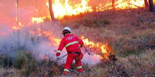 Incendio nell'entroterra genovese, a fuoco i boschi di Acquasanta