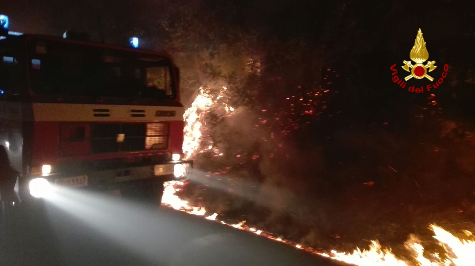 Incendio tra Giusvalla e Pontinvrea: fiamme vicino alla strada provinciale