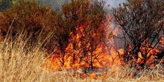 Fiamme nel savonese, bruciano i boschi di Magliolo