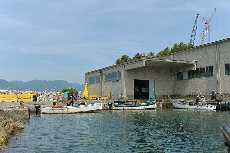 Dragaggi in porto alla Spezia, i mitilicoltori: 