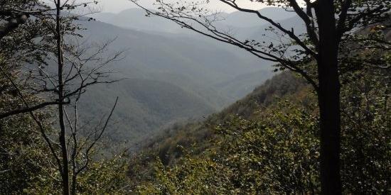 Esce per cercare funghi nei boschi di Rezzoaglio, trovato morto l'anziano disperso 