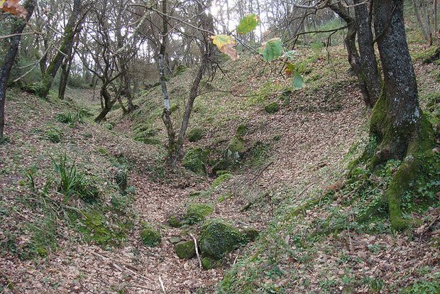 Incidente di caccia, cercatore di funghi ucciso da un proiettile vagante 