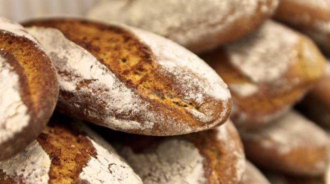 Panettiere assume straniero senza permesso di soggiorno, sconterà la pena cucinando in una casa di riposo