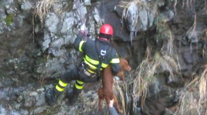 Cane scivola in un dirupo a Rocca di Corno, soccorsi sul posto