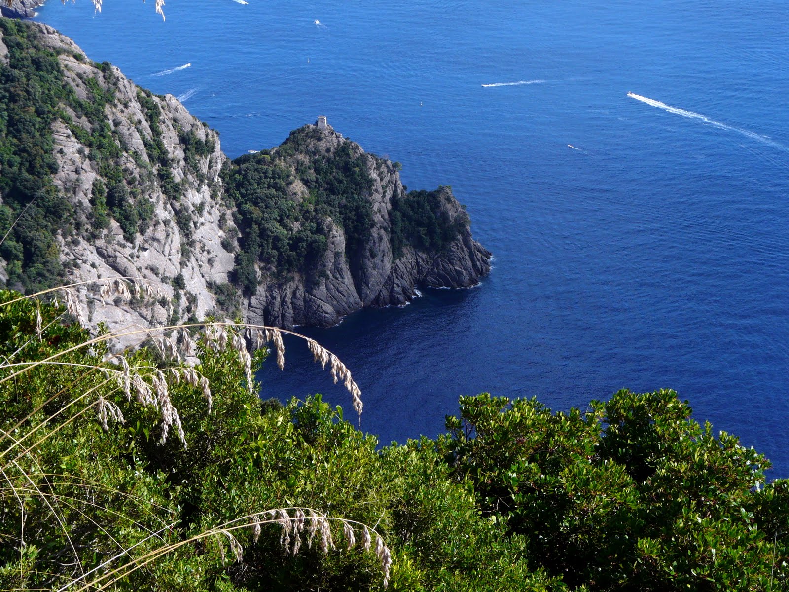 Si infortuna sul Monte di Portofino, recuperato in elicottero