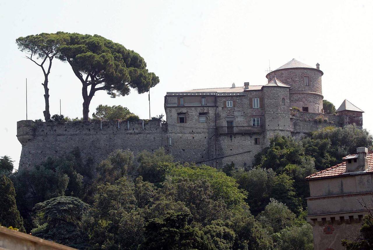 Pini di Portofino sotto attacco: un insetto li sta mangiando