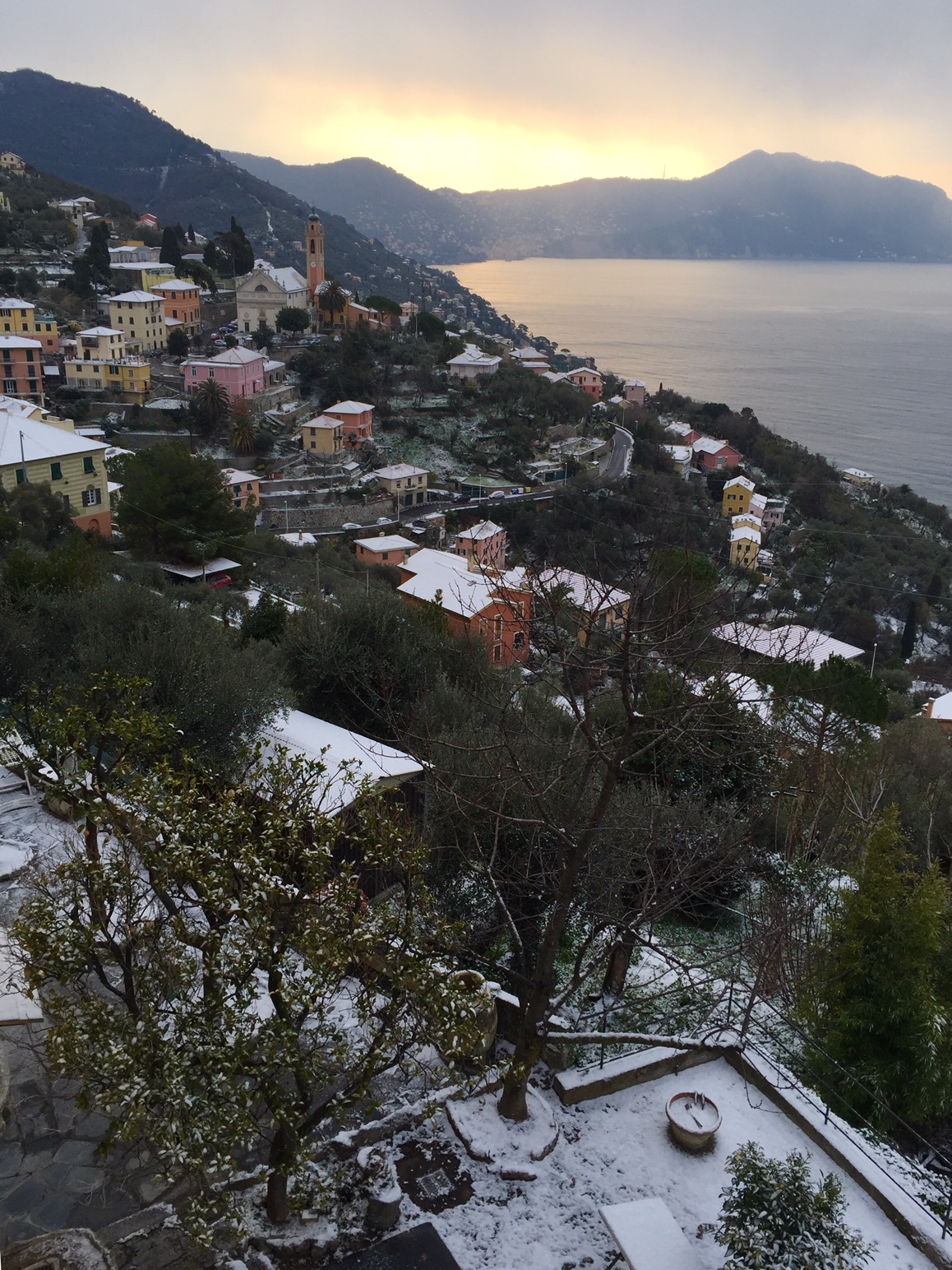 Neve a Genova, oggi a Bogliasco chiuse tutte le scuole 