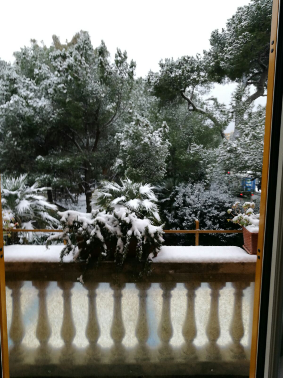 Neve in Liguria, a Lavagna in azione i mezzi per lo spargimento di sale 