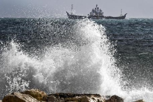 Laboratori, mostre e spettacolo: a Genova il primo Festival del Mare