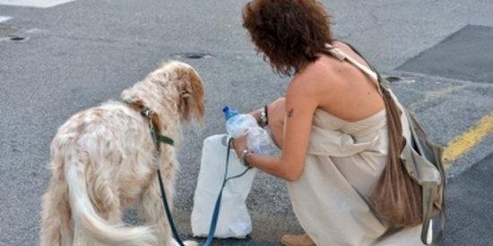 Bottiglietta d'acqua obbligatoria per i proprietari di cani, anche Sori si adegua