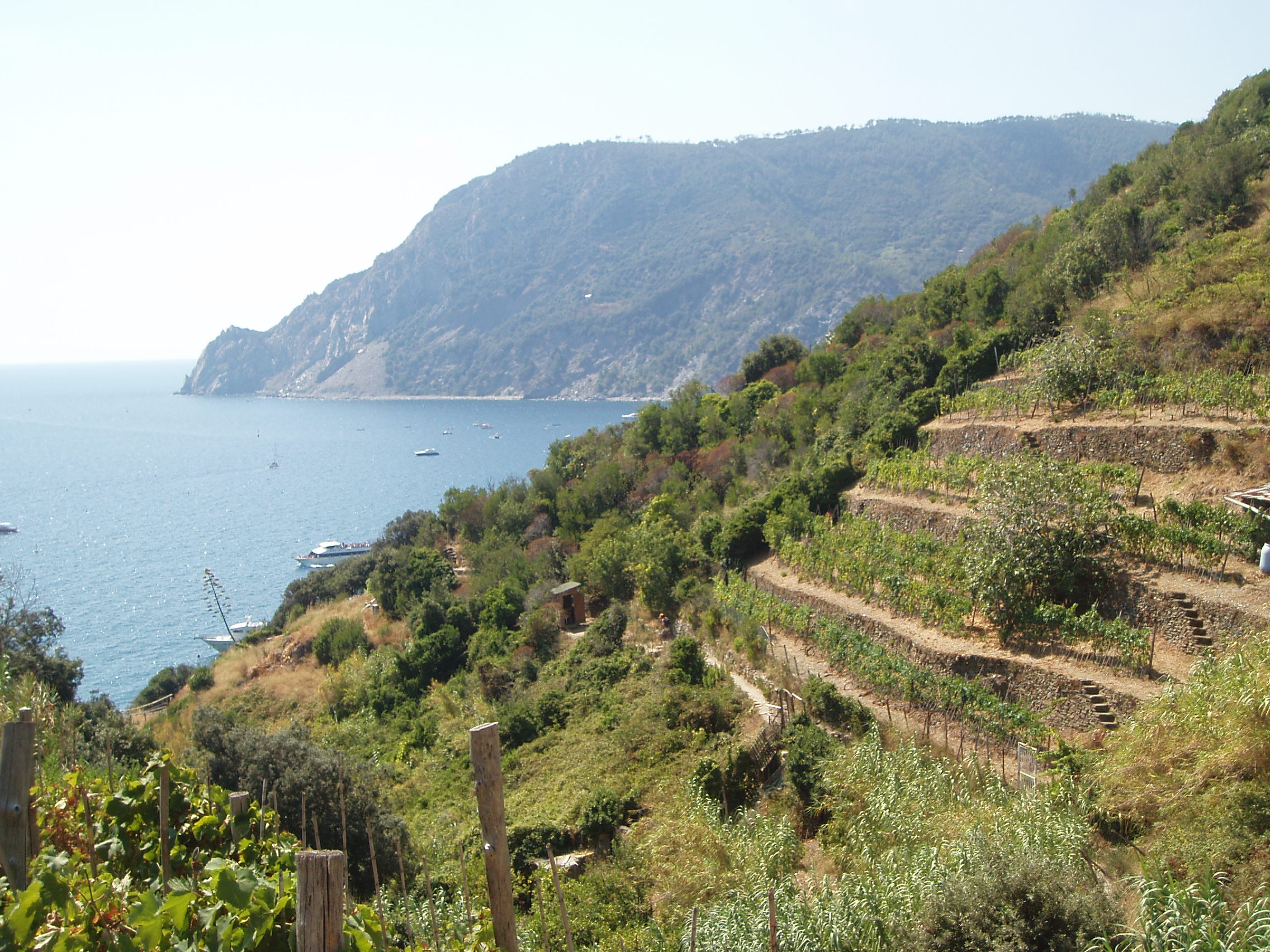 Agricoltura: in Liguria la terra più cara di tutta Europa