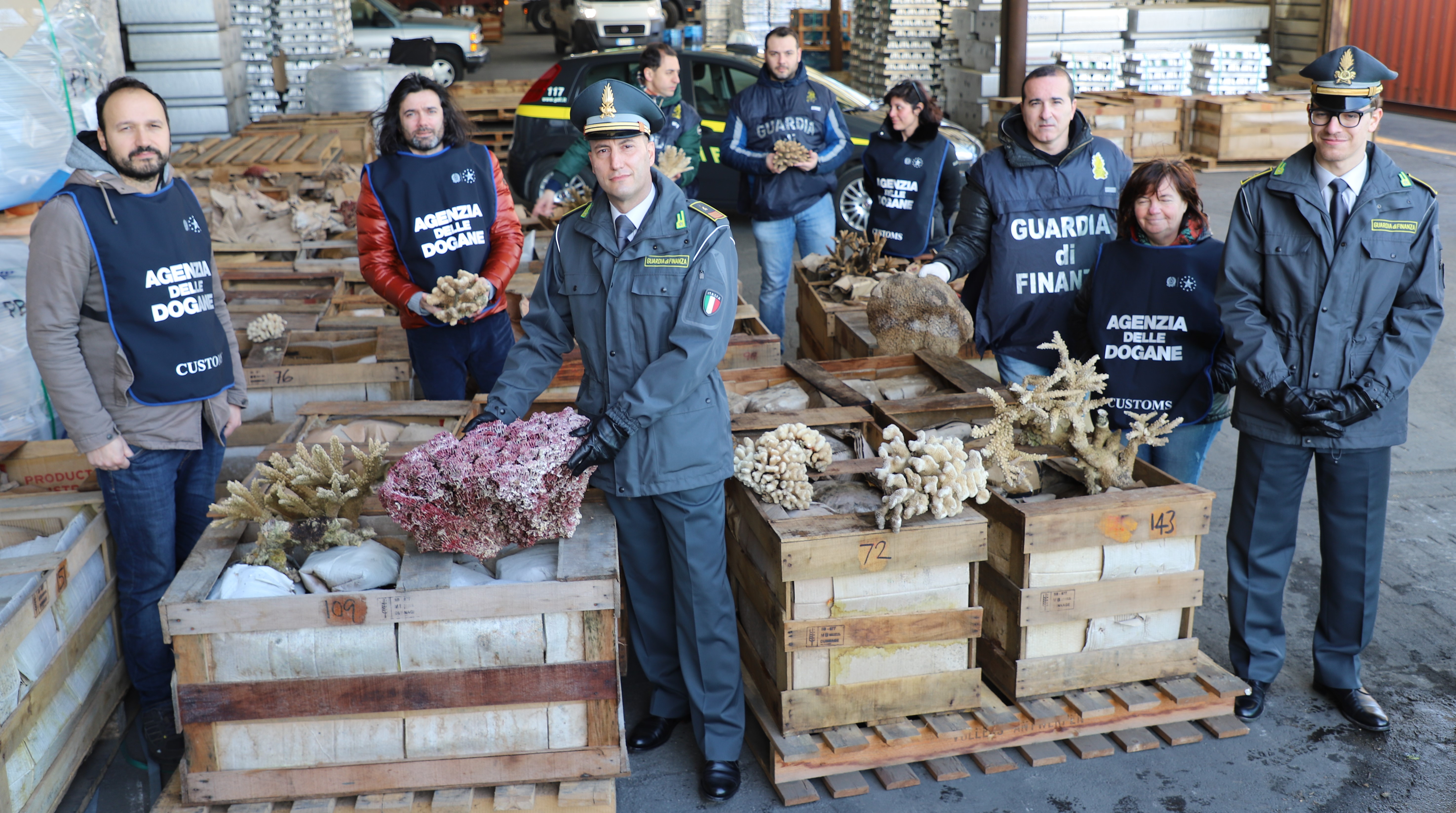 Blitz della Guardia di finanza su una nave mercantile, sequestrate 8 tonnellate di corallo in via di estinzione