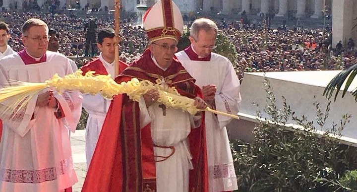 Domenica delle palme in Vaticano coi 'parmureli' donati da Sanremo