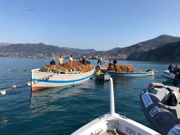 Pesca, torna dopo un anno la tonnarella di Punta Chiappa