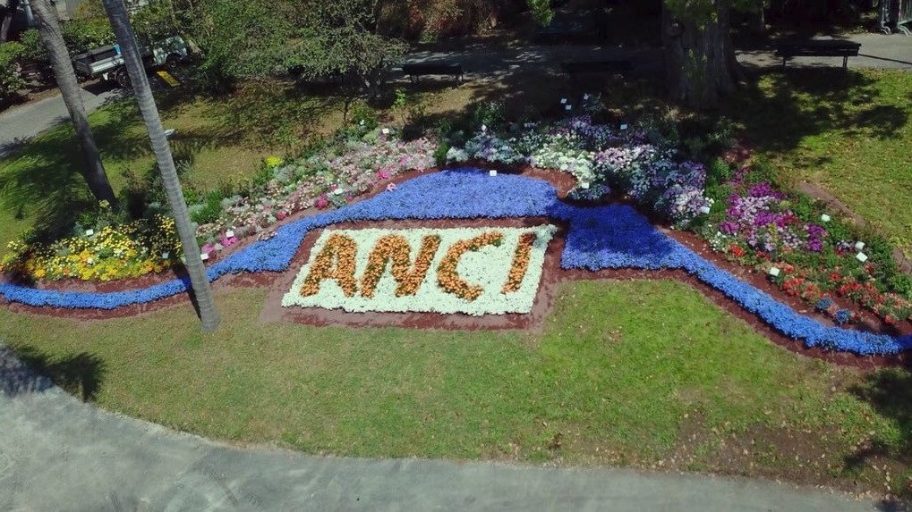 A Euroflora spunta una Liguria disegnata con piante e fiori tipici