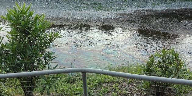 Sversamento di olio nel torrente Petronio, la bonifica andrà avanti fino a venerdì